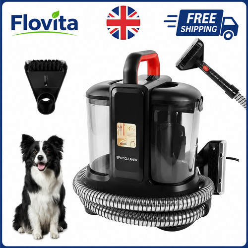 Carpet cleaner spot - carpet-cleaner,
